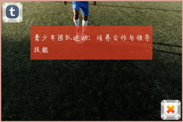 青少年团队运动:培养合作与领导技能